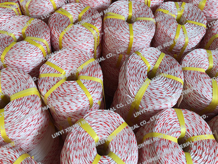 PP ROPE-03
