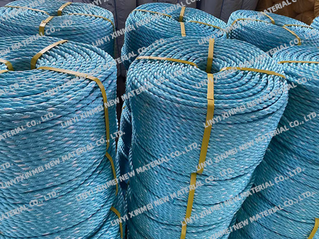 PP ROPE-06