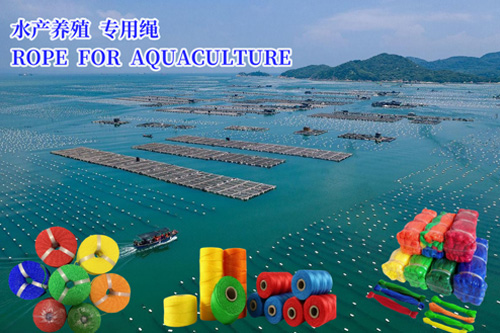 Performance characteristics of multifilament rope